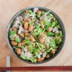 爆速で栄養たっぷり！豆苗納豆ごはん