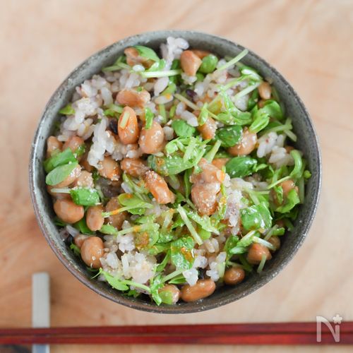 爆速で栄養たっぷり!豆苗納豆ごはん