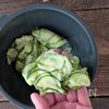 チーズとろける♪ズッキーニのフランの下準備