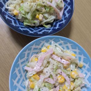 花月雨音🪷の作ってみた!投稿(【材料3つ♡簡単！止まらない♡】コールスローサラダ)