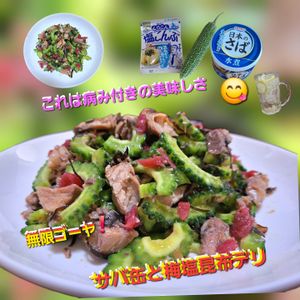 サトちゃんの作ってみた!投稿(無限ゴーヤ！サバ缶と梅塩昆布デリ)