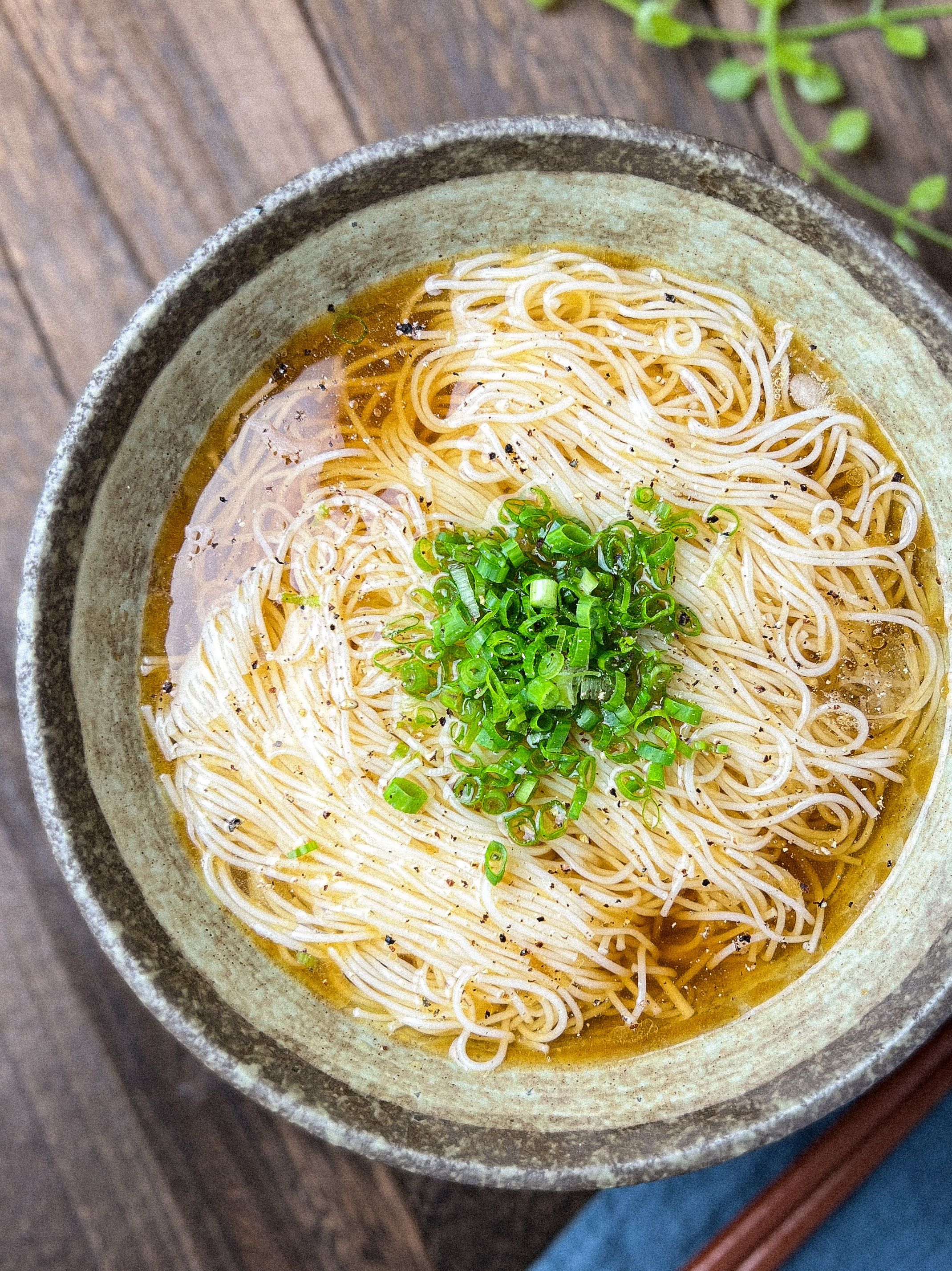 激レア】ドッキリ 本物そっくり 原寸大 食品サンプル 冷やしそうめん