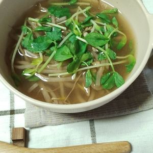 M＊Pの作ってみた!投稿(節約食材で作る！もやしと豆苗のみそスープ)