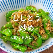 「ししとう炒め」30選｜おつまみや作り置きにも！