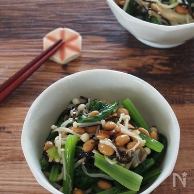 食物繊維・Ca・鉄分摂取!小松菜とえのきの塩昆布納豆和え