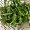 シンプルで美味しい！こごみのお刺身の工程3