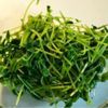 豆苗のツナコーンサラダの工程2