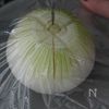 【レンジ調理じゃないよね?】レンジで丸ごと新玉ねぎの生姜焼きの工程1