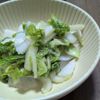 よーこの作ってみた!投稿(揉んで和えるだけ♪白菜大根の塩ダレナムル)