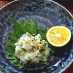 いかの塩なめろう｜薬味たっぷり