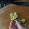 【新しい茄子の食べ方】冷やしなすのカラフルマリネの下準備
