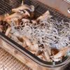 【トースターにお任せ】旨み爆発！しめじとしらすバター蒸し焼きの工程2
