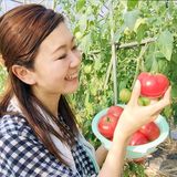 すずき わかえ