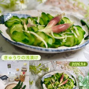 クラ蔵の作ってみた!投稿(【きゅうりの浅漬け】さっぱり定番♡おかずにも合う味♡)