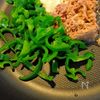 【ピーマンとツナの塩こんぶマヨ炒め】パパッと作れる副菜です!の工程2