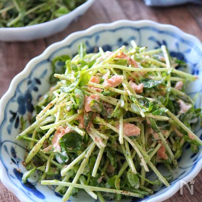 ［豆苗のツナマヨサラダ］3分でできる簡単副菜