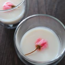 桜咲く！ブランマンジェ