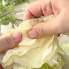 【ちゃんぽんスープ】栄養満点！家族が大絶賛っ♪の工程1