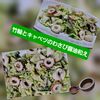 サトちゃんの作ってみた!投稿(【キャベツとちくわのわさびマヨ醤油和え】おつまみにピッタリ！)