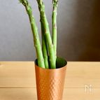 一週間もつ！アスパラの保存方法