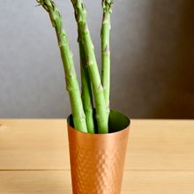 一週間もつ！アスパラの保存方法