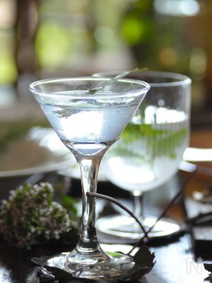 【超簡単レシピ】レモングラスのソルティージュース