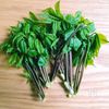コシアブラの米粉天ぷら【旬を味わう山菜】の工程1