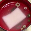 キャピタンの作ってみた!投稿(お餅消費に!超簡単*餅茶漬け)