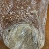 砂糖・卵・乳なし【米粉と全粒粉の甘酒スコーン】ポリ袋での工程3