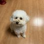 サランラップは楽ちんです