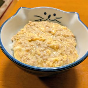 ゆきまる🐬🫧の作ってみた!投稿(10分で完成♪とろとろ甘辛【鶏ひき肉の親子丼】)