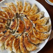 野菜たっぷり！ヘルシー餃子