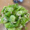 エステルの作ってみた!投稿(【きゅうりのキャベツナ和え】さっぱり旨味副菜♩)