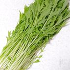 水菜を長持ちさせる“冷蔵保存方法”（10日間保存可）