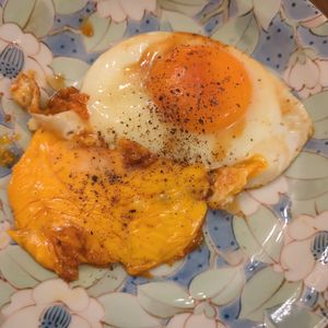 たりおの作ってみた!投稿(【究極ズボラ丼】包丁なし！5分でできる『ハムチーズエッグ丼』)