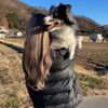ぴちゃん