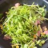 コスパ◎彩りおかず♪豆苗とコーンのオイマヨ炒めの工程2