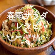 「春雨サラダ」人気レシピ30選｜ちゅるっと美味しい♪	
