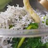 簡単すぎる!5分で出来る菜の花とシラスの生姜和えの工程5