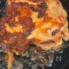 夏のスタミナ料理！【チキンステーキおろし添え】の工程1