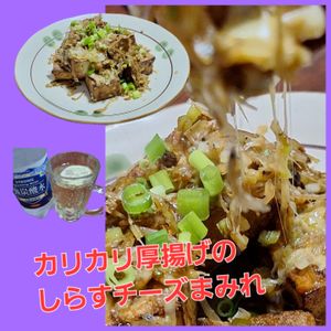 サトちゃんの作ってみた!投稿(【カリカリ厚揚げのしらすチーズまみれ】ヘルシー簡単節約おかず)