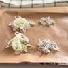 重ねるだけでサクサク◎【味噌チーズのねぎしらすパイ】の工程3