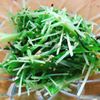 ゆかりの作ってみた!投稿(5分で完成!めちゃ旨*ピーマンと豆苗のやみつき塩昆布ナムル)