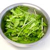 【無限水菜サラダ】副菜5分★万能サラダの下準備