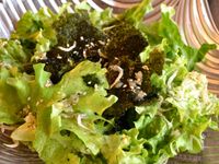 【塩ベース】レタスの韓国風ジャコサラダ