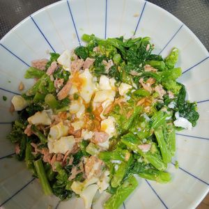 鶏皮坊主の作ってみた!投稿(子供も食べやすい♡『半熟卵と菜の花のツナハニーマスタード』)