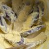 米粉でサクふわ♪
ウインナー入りちくわ豆腐フリッターの工程6