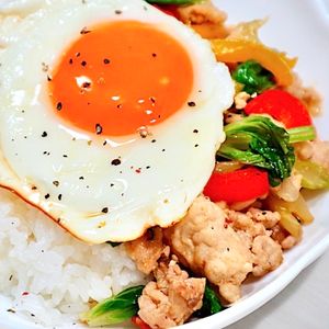 まゆの作ってみた!投稿(ご飯すすむ！セロリで作るガパオライス)