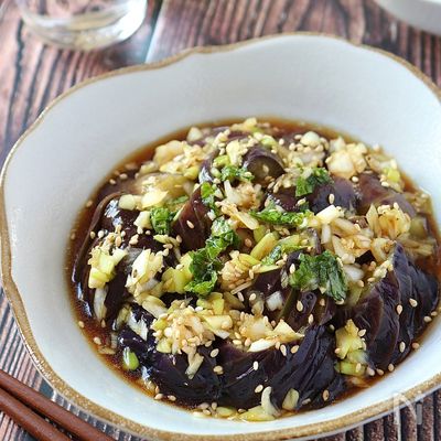 汁まで飲み干したい♡レンジで作るとろ茄子の長ネギしょうゆがけ