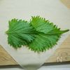 食感パリパリ「海老と鶏ささ身肉の揚げ春巻き」の工程1
